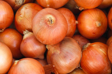 Fresh onions. Onions background. Ripe onions. Onions in market.の写真素材