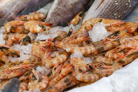 Pile of fresh shrimp for retailsale in local market. Freshly caught shrimp.の写真素材