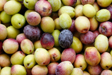 Olives background. Freshly harvested green and black olives.の写真素材