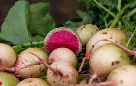 Unusual radishes. Heritage varieties of watermelon radish roots for sale at a market. White...
