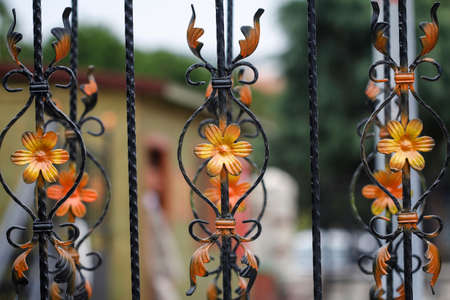 Forge detail. Part of a wrought iron fence with yellow flowers, design iron gate details.の写真素材