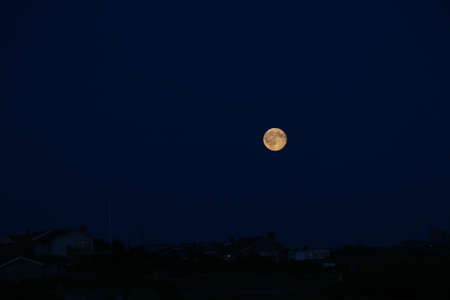 Night sky with a full moon.の写真素材