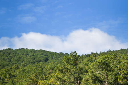 Green montain with blue sky.