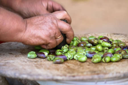 Peasant women prepare green olives in Turkey.の写真素材