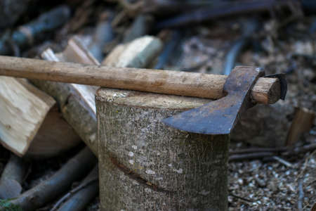 Old heavy ax tool impaled in log and fragments of alderwood behind it, hatchet tool splitting wood...