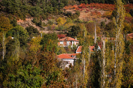 Colorful autumn landscape in the mountain village. Turkey.の写真素材
