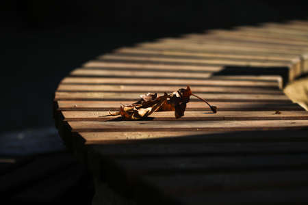 Wooden bench brown color is a vintage style wood furniture, stacks of soft orange sun light style.の写真素材