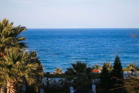 Tropical palm trees on the beach near the sea.の写真素材