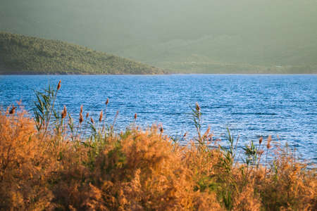 Salt Bafa Lake landscape with great nature - Mugla - Turkey. Latmos.の写真素材