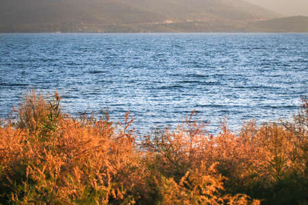 Salt Bafa Lake landscape with great nature - Mugla - Turkey. Latmos.