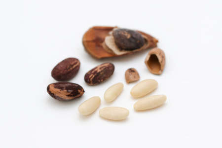 Seeds and shelled pine nuts on white background.の写真素材