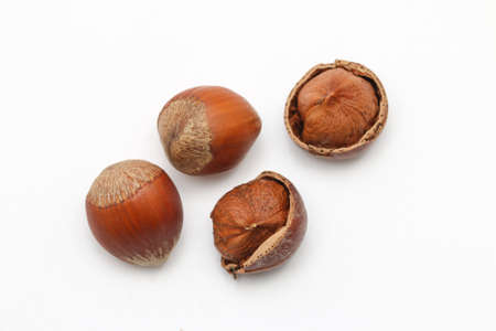 Close up of hazelnuts isolated on white background.の写真素材