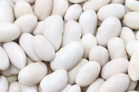 Background of white kidney beans.の写真素材