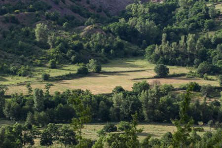 Gorgeous greens in the landscape.の写真素材