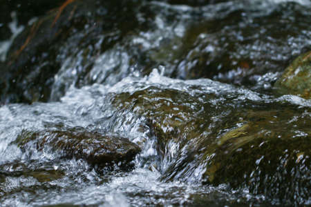 Stream in Ida Mountain, Turkey. Beautiful nature.の写真素材