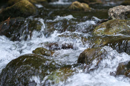 Stream in Ida Mountain, Turkey. Beautiful nature.の写真素材