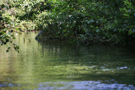 Stream in Ida Mountain, Turkey. Beautiful nature.の写真素材