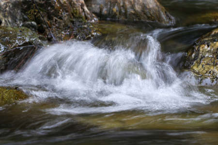 Stream in Ida Mountain, Turkey. Beautiful nature.の写真素材