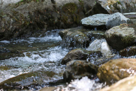 Stream in Ida Mountain, Turkey. Beautiful nature.の写真素材