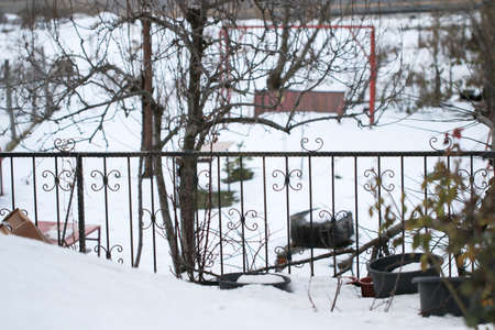 Home garden covered with fresh and fluffy white snow in morning sunlight.の写真素材