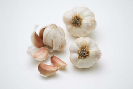 Close up of bulb of garlic and cloves of garlic on a white background.の写真素材