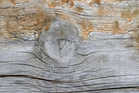 Grunge old wooden texture. Wooden background.の写真素材