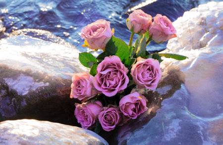 Bouquet of pink color roses in ice against beautiful river and stones in winter