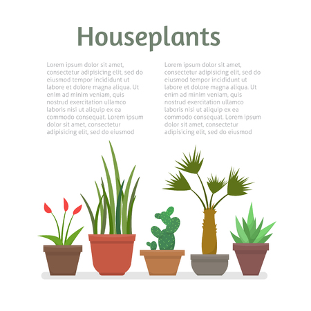 House plants and flowers in pots with text. Flat style vector illustration.のイラスト素材