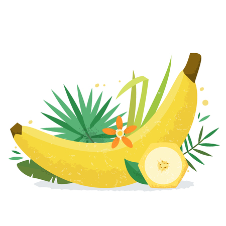 Banana with plants and flowers.のイラスト素材