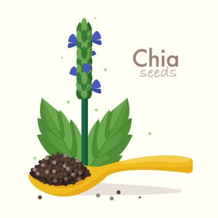 Chia seeds with plant. Flat style vector illustrationのイラスト素材