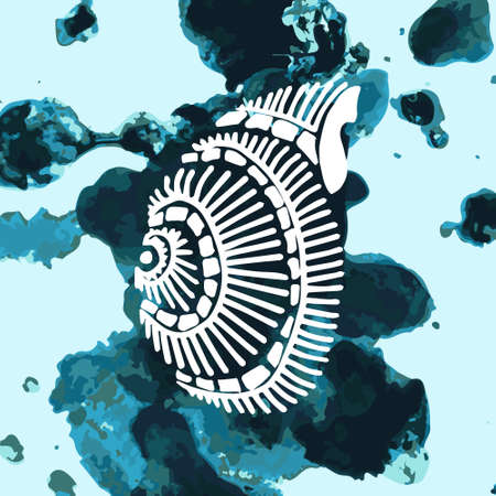 seashell