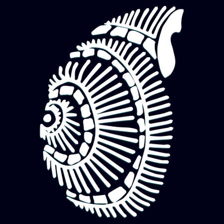 Seashellのイラスト素材