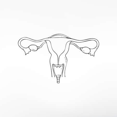 Menstrual cup hygiene product for women vector isolated illustrationのイラスト素材