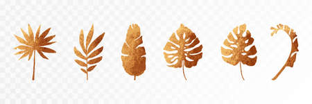 Golden tropical leaves isolated from background. Vector texture illustration.のイラスト素材
