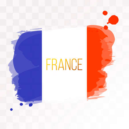 Flag of France. Vector illustration texture spots on an isolated background.のイラスト素材