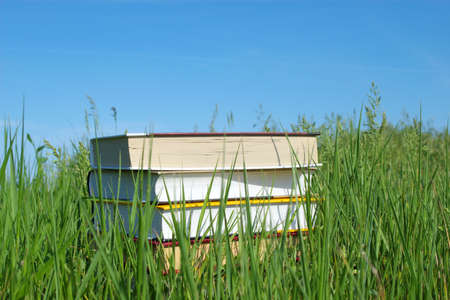 Stack of books on green grass against blue sky. Education conceptの写真素材