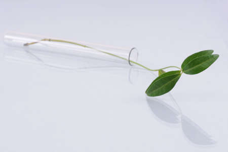 biotechnology conceptの写真素材