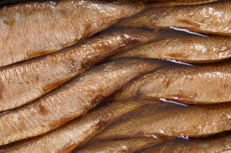 Canned Sardines from aboveの写真素材