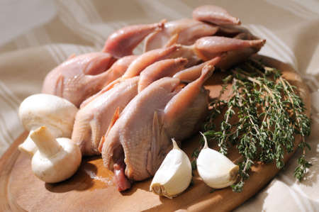 Raw quail with ingredients for cookingの写真素材