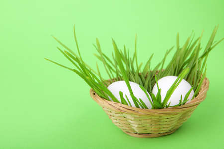 Chicken eggs in basketの写真素材