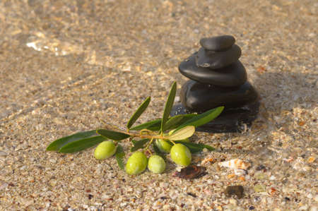 Stack of pebbles with green olives branchの写真素材