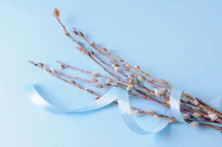 Easter backgroundの写真素材