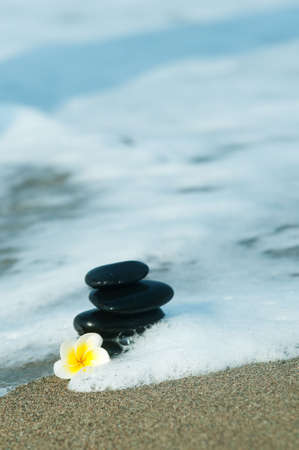 Plumeria flower on beachの写真素材