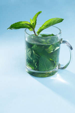 Mint teaの写真素材