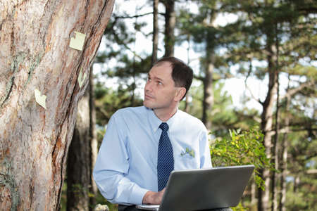 Businessman working with laptop under big pine treeの写真素材