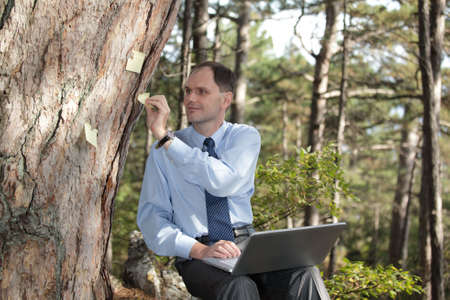 Businessman working with laptop under big pine treeの写真素材