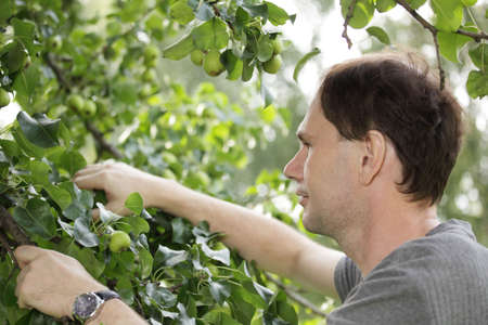 Man working in a gardenの写真素材