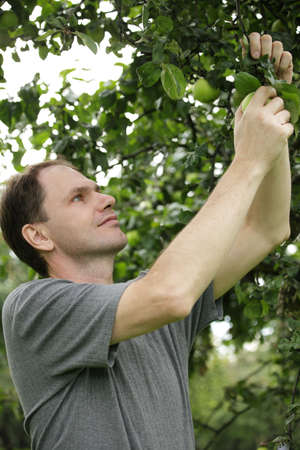 Man working in a gardenの写真素材