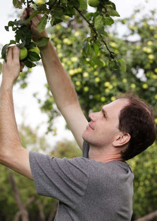 Man working in a garden