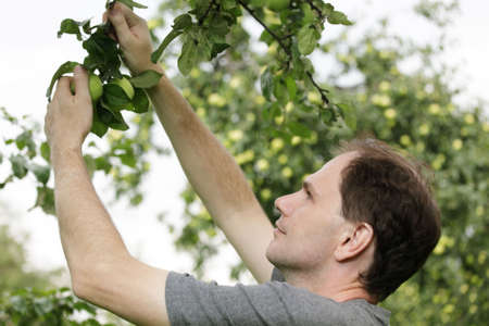 Man working in a gardenの写真素材